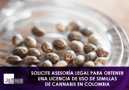 Semillas de Cannabis para Siembra o Cultivo en Colombia
