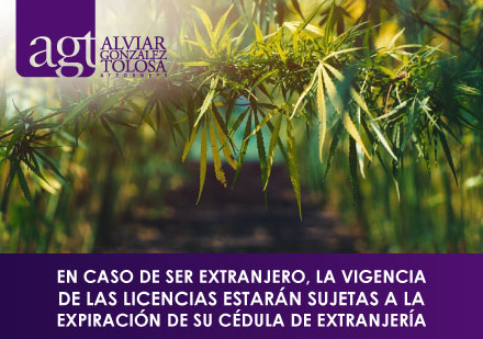Tierras Cultivadas con Cannabis en Colombia