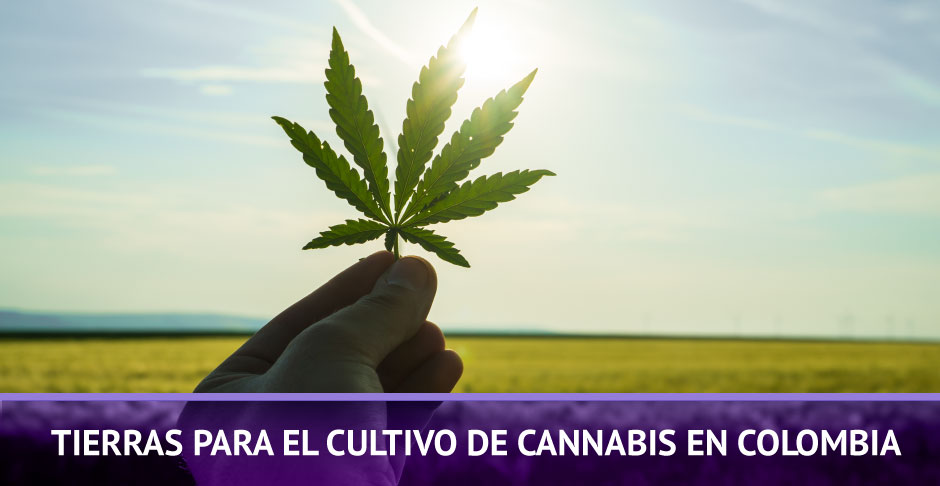 Tierras Para Cultivar Cannabis en Colombia