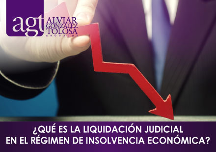 ¿Qué es la Liquidación Judicial en el Régimen de Insolvencia Económica?
