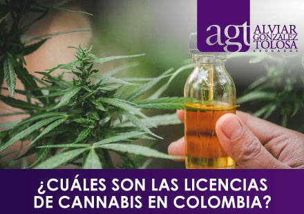 ¿Cuáles son las Licencias de Cannabis en Colombia?