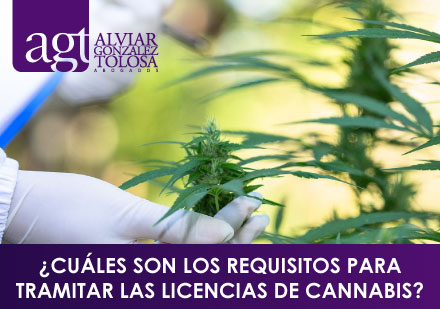 ¿Cuáles son los Requisitos Para Tramitar las Licencias de Cannabis?