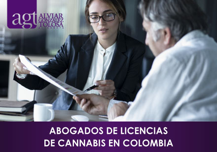 Abogados canábicos en Colombia