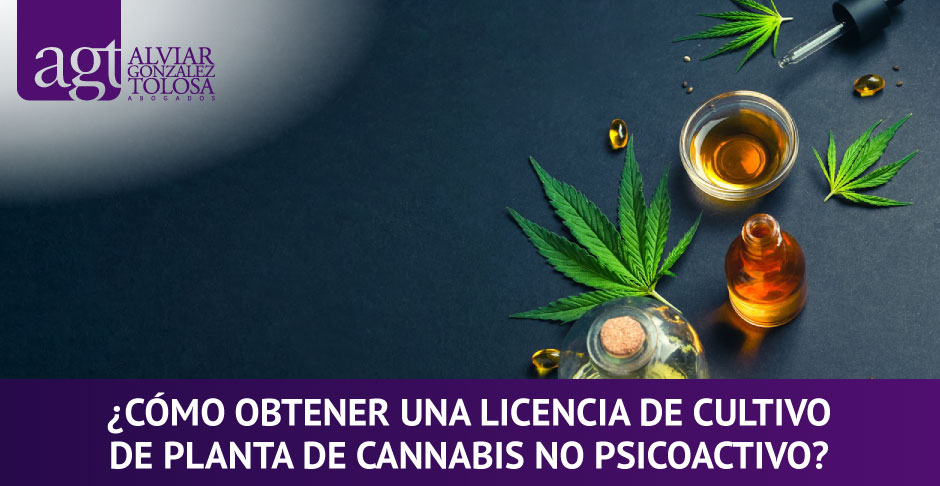 Aceite de Cannabis No Psicoactivo