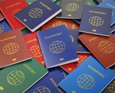 Pasaportes de Extranjeros de Colores